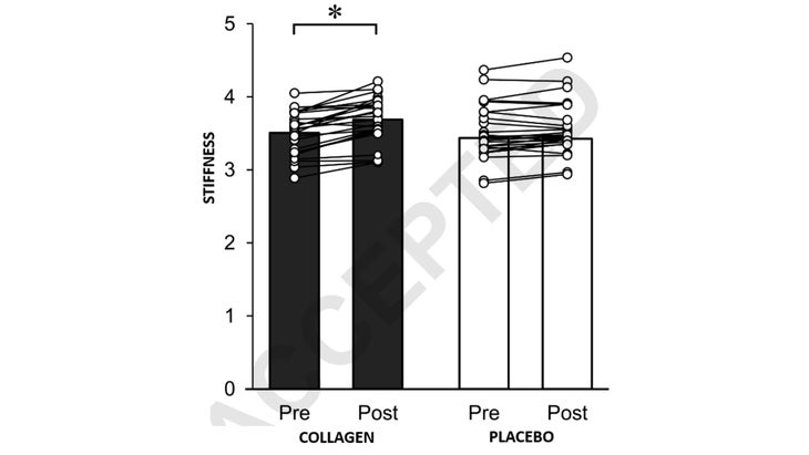 Collagen supplementation increased calf muscle stiffness.