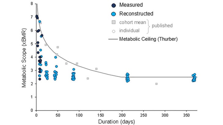 The longer the duration, the lower the daily calorie burn you’re able to sustain.